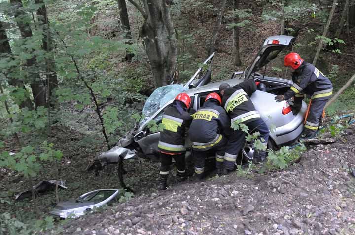 Seat spadł ze skarpy zdjęcie nr 38006
