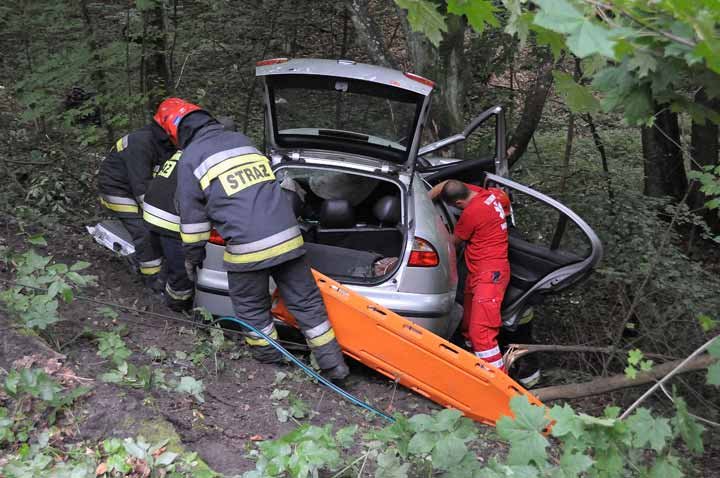Seat spadł ze skarpy zdjęcie nr 38008