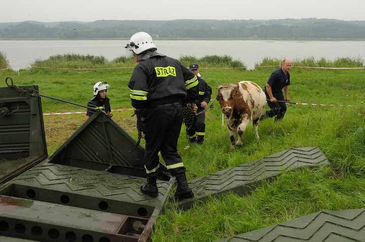 Zanim nadejdzie wielka woda zdjęcie nr 38787