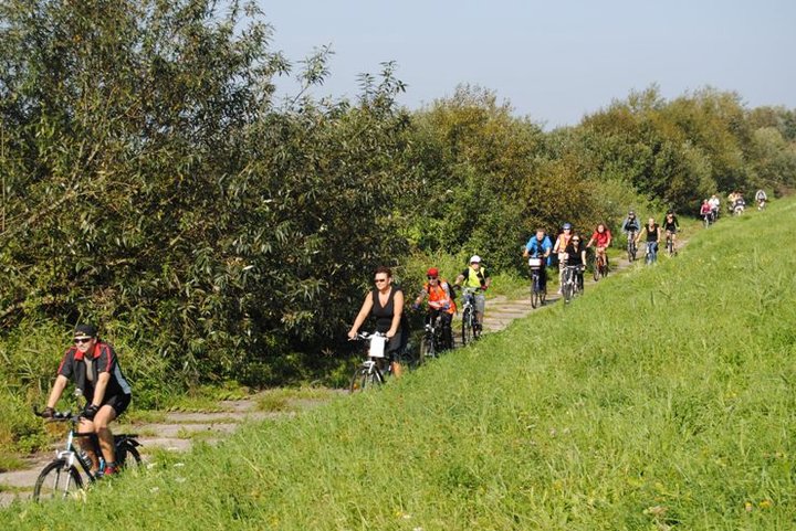 Rowerem nad Druzno zdjęcie nr 39352