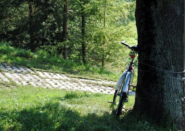 Rowerem nad Druzno zdjęcie nr 39355