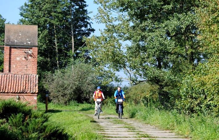 Rowerem nad Druzno zdjęcie nr 39353