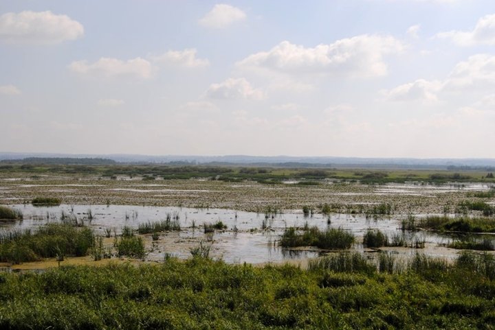 Rowerem nad Druzno zdjęcie nr 39371
