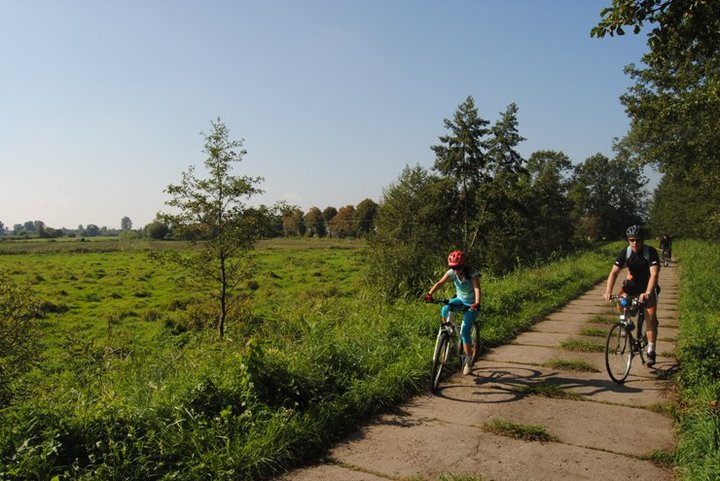 Rowerem nad Druzno zdjęcie nr 39357