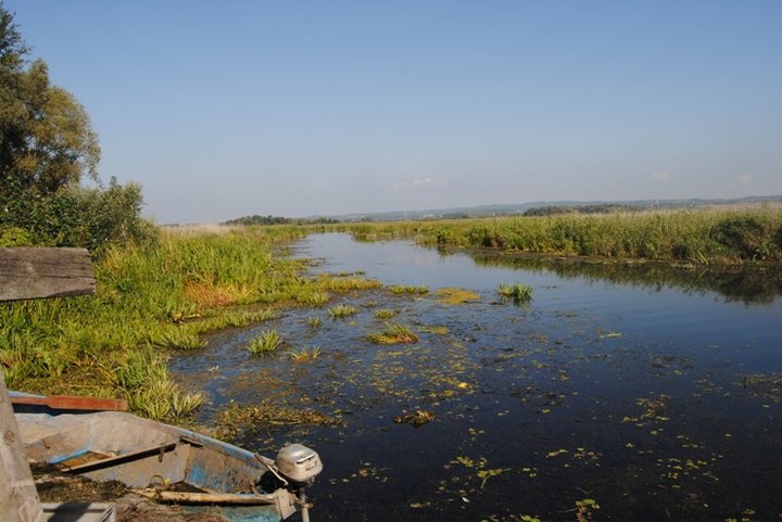 Rowerem nad Druzno zdjęcie nr 39360