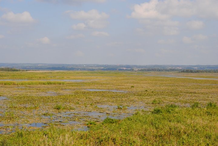 Rowerem nad Druzno zdjęcie nr 39370