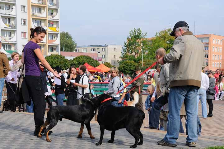 Najlepszy przyjaciel człowieka zdjęcie nr 39812