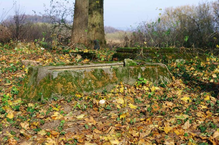 Czas bywa bezlitosny... zdjęcie nr 40847