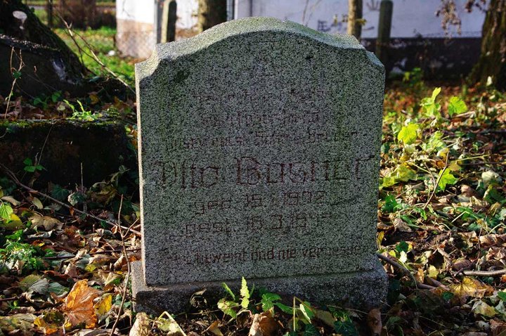 Czas bywa bezlitosny... zdjęcie nr 40844