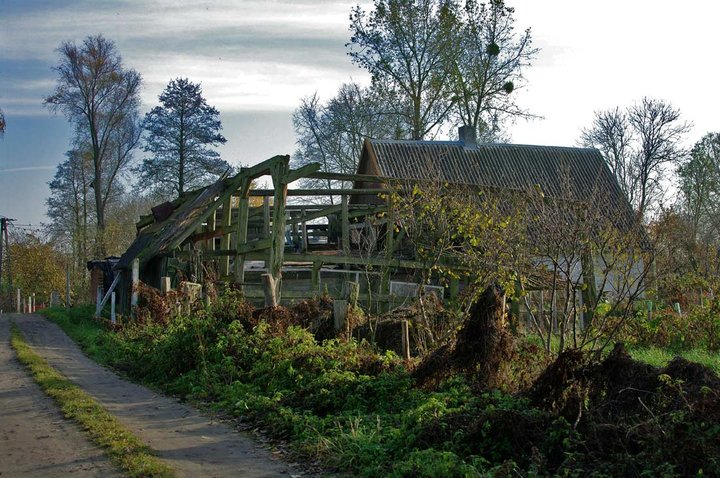 Czas bywa bezlitosny... zdjęcie nr 40840