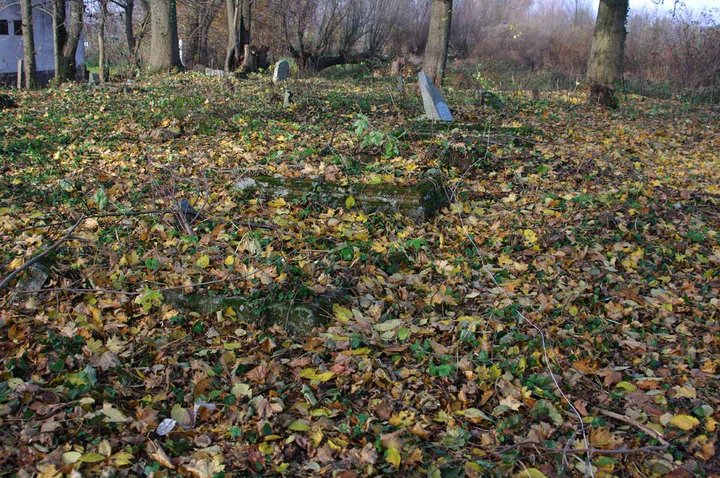 Czas bywa bezlitosny... zdjęcie nr 40846