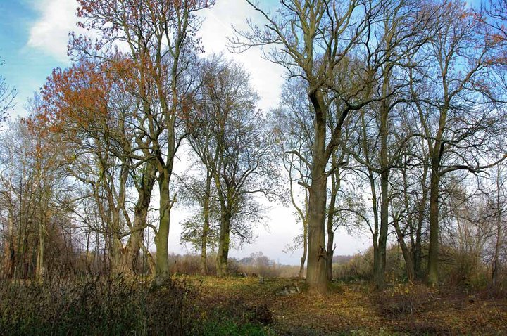 Czas bywa bezlitosny... zdjęcie nr 40848