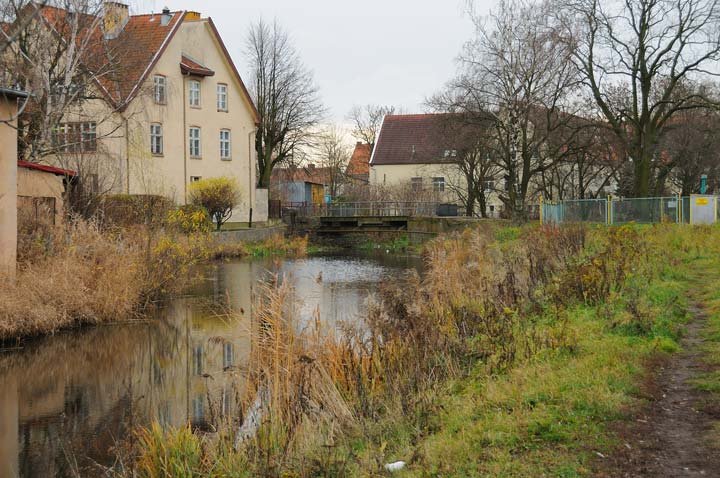 Fosa Staromiejska zdjęcie nr 41142