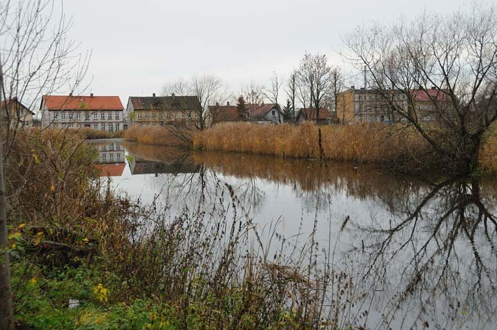 Fosa Staromiejska zdjęcie nr 41135