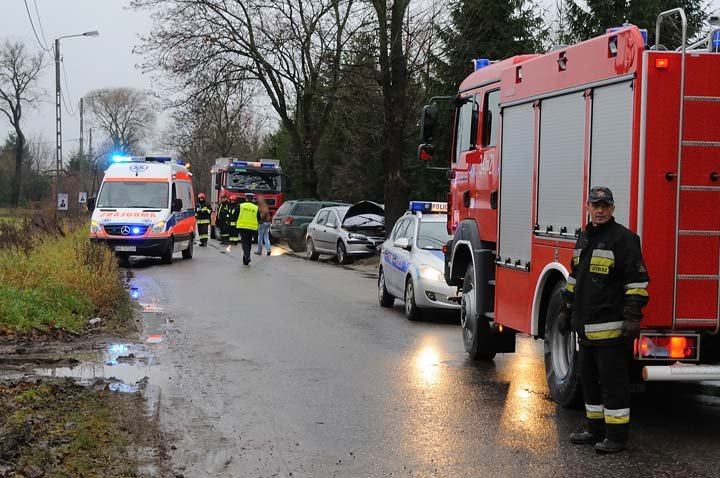Peugeot uderzył w drzewo zdjęcie nr 41152