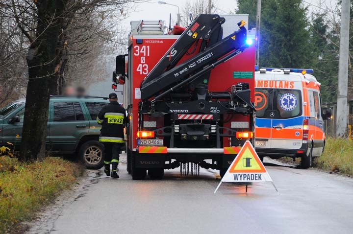 Peugeot uderzył w drzewo zdjęcie nr 41149