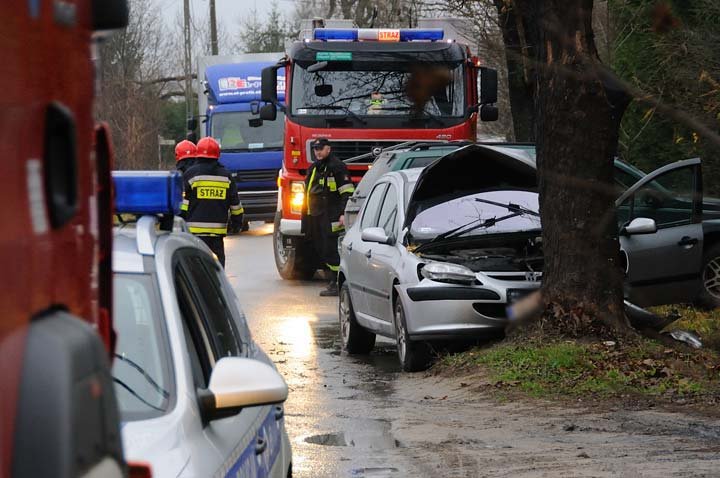 Peugeot uderzył w drzewo zdjęcie nr 41153