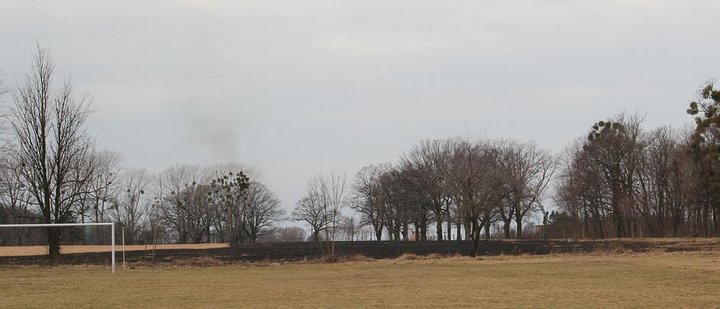 Akcja "wypalanie traw" rozpoczęta zdjęcie nr 42854