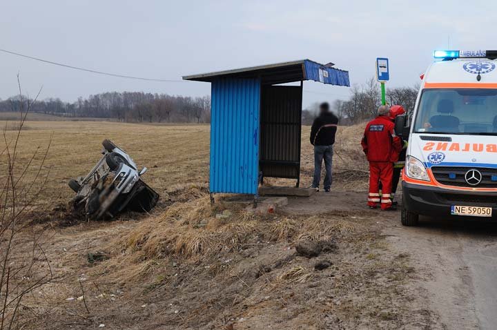 Laguną ścięła drzewo zdjęcie nr 43105