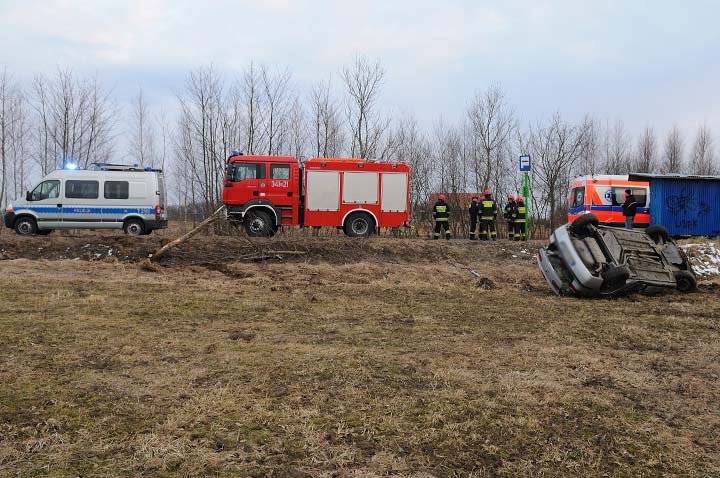 Laguną ścięła drzewo zdjęcie nr 43104