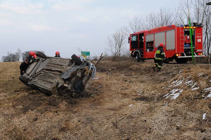 Laguną ścięła drzewo zdjęcie nr 43100