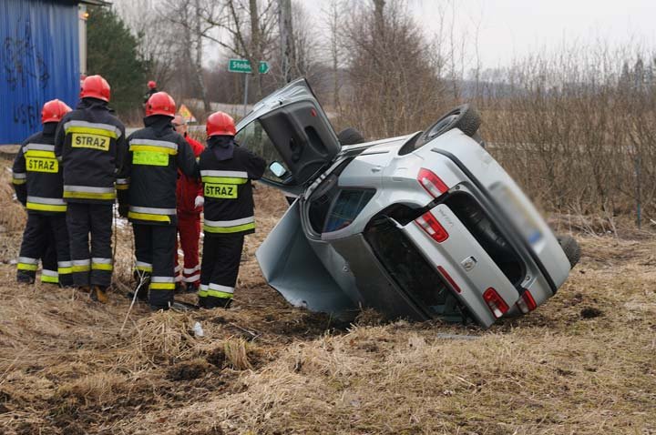 Laguną ścięła drzewo zdjęcie nr 43097