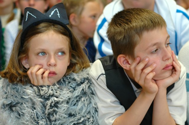 Elbląg Świerszczykowy ogródek