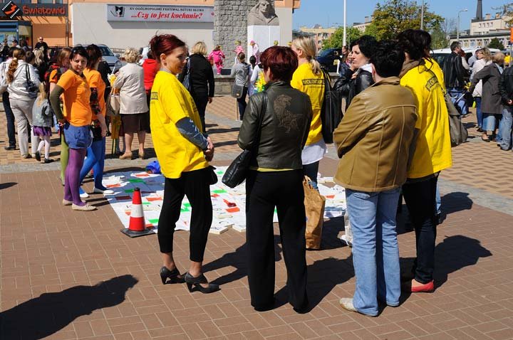 Żonkilowy festyn na rzecz hospicjum zdjęcie nr 44421