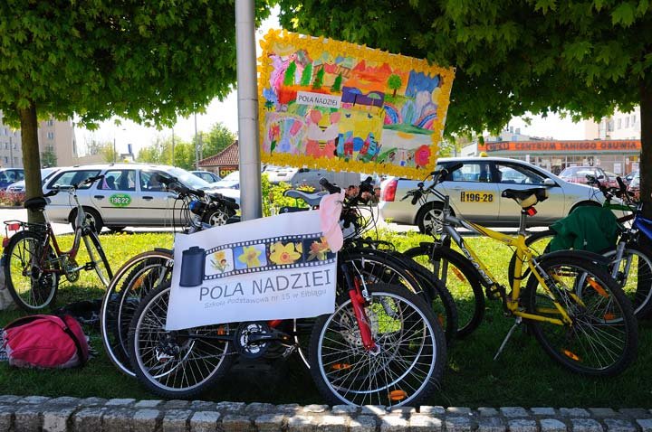 Żonkilowy festyn na rzecz hospicjum zdjęcie nr 44415