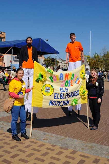 Żonkilowy festyn na rzecz hospicjum zdjęcie nr 44396