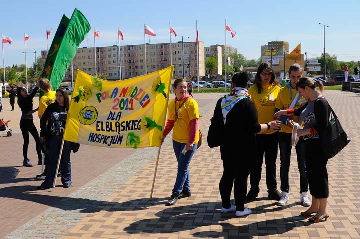 Żonkilowy festyn na rzecz hospicjum zdjęcie nr 44410