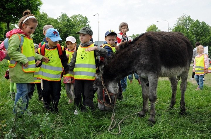 IV Festiwal Nauki w PWSZ zdjęcie nr 45570