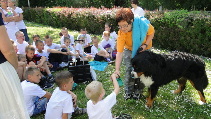 Dzień Szkoły bez Przemocy w OSW nr 2 zdjęcie nr 46105
