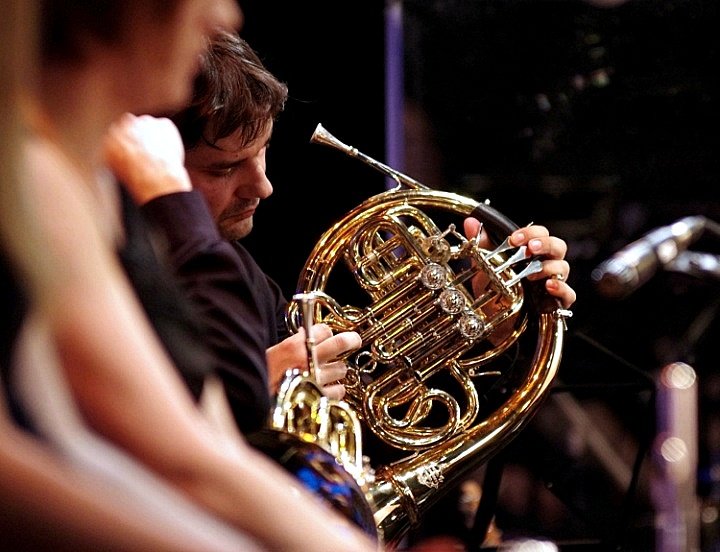 Koncert Adama Sztaby i Elbląskiej Orkiestry Kameralnej zdjęcie nr 46284