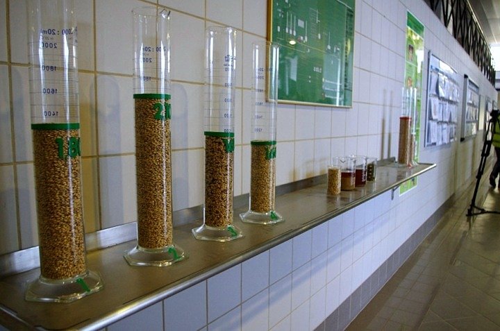Elblążanie zwiedzali browar zdjęcie nr 46528