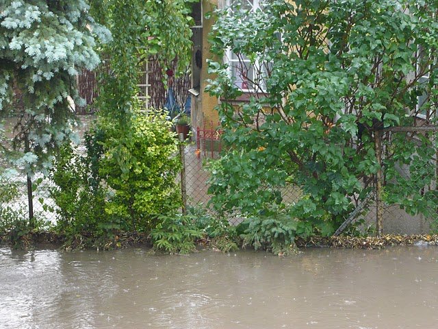 Ulewa nad Elblągiem (3) zdjęcie nr 47081
