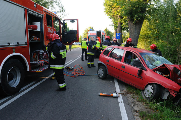 Oplem uderzył w drzewo zdjęcie nr 47210