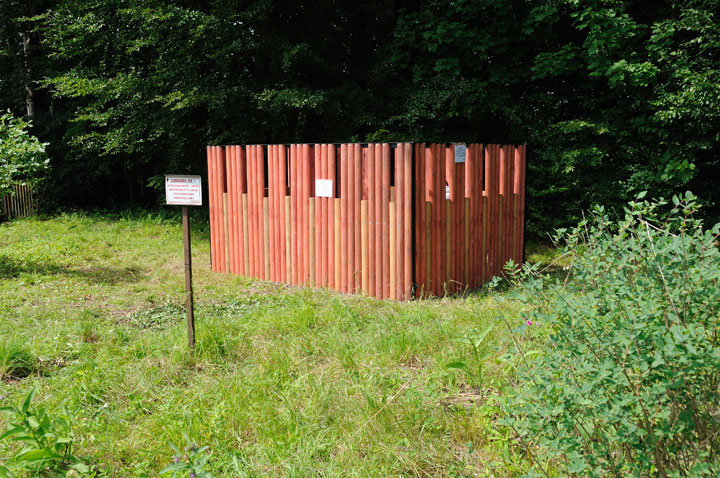 Pierwsza odłownia dzików w Elblągu zdjęcie nr 47241