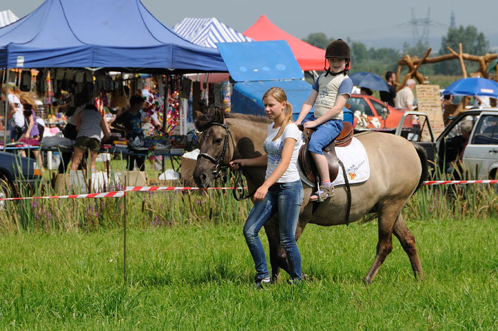 IX Targi Pszczelarskie i Tradycyjnej Żywności w Karczowiskach Górnych zdjęcie nr 47844