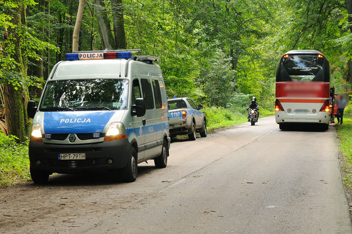 Śmiertelny wypadek koło Pogrodzia zdjęcie nr 48272