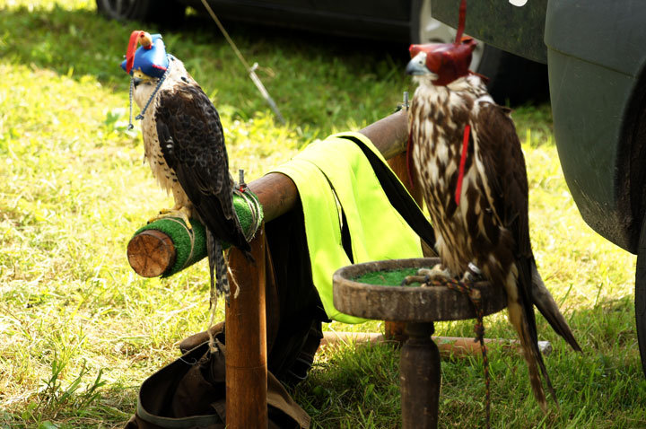 Open Air Day na lotnisku w Królewie zdjęcie nr 48449