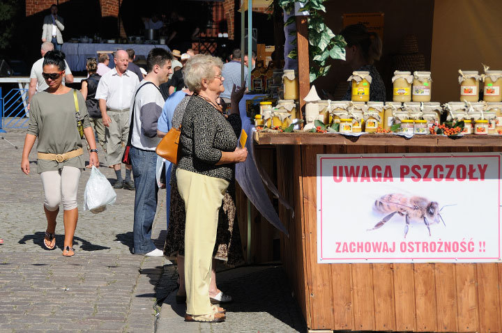 VI Elbląskie Święto Chleba - dzień drugi zdjęcie nr 48508