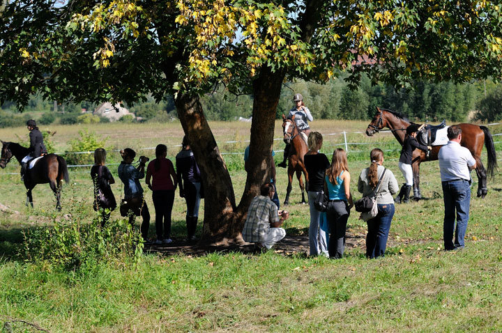 Międzyokręgowe Zawody Konne w Skokach przez Przeszkody zdjęcie nr 48640