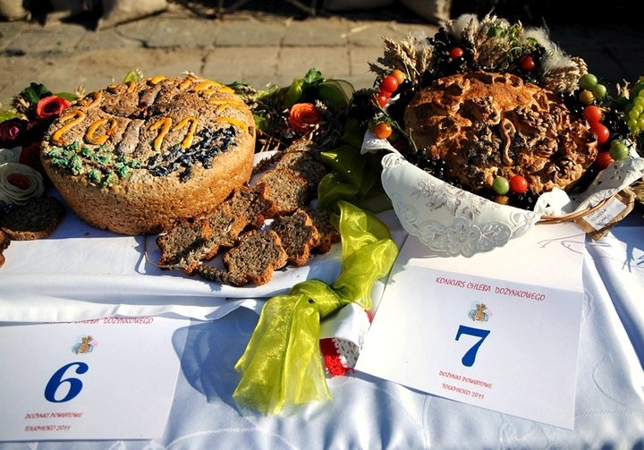 Dożynki w Tolkmicku zdjęcie nr 49018