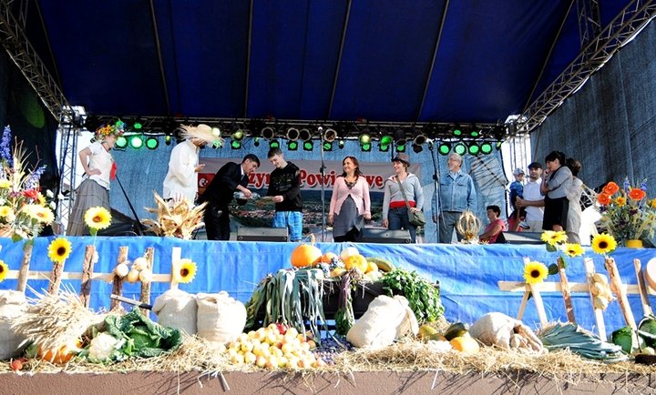 Dożynki w Tolkmicku zdjęcie nr 49023