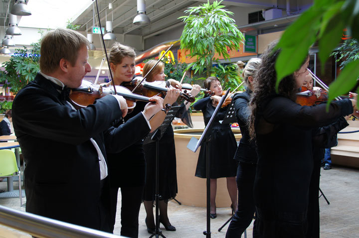 Elbląska Orkiestra Kameralna zagrała w Ogrodach zdjęcie nr 49324