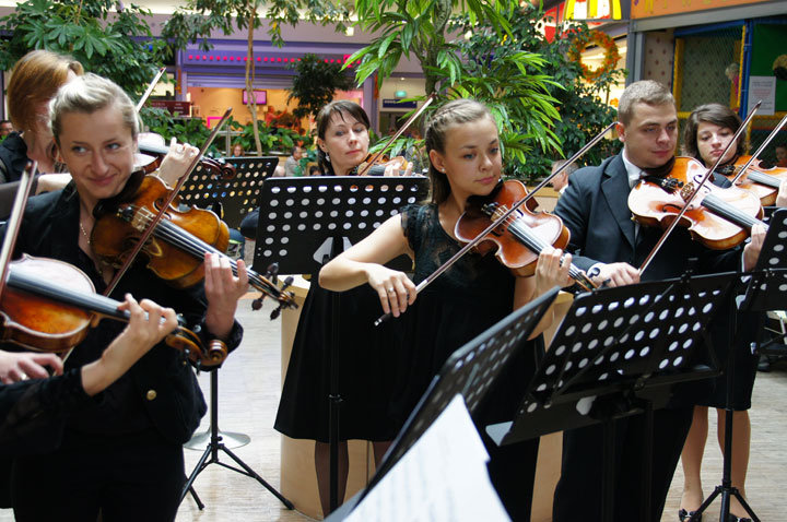 Elbląska Orkiestra Kameralna zagrała w Ogrodach zdjęcie nr 49308