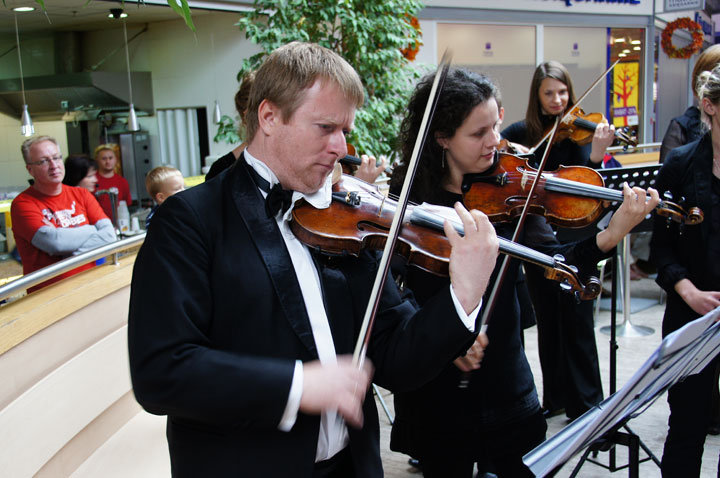 Elbląska Orkiestra Kameralna zagrała w Ogrodach zdjęcie nr 49307