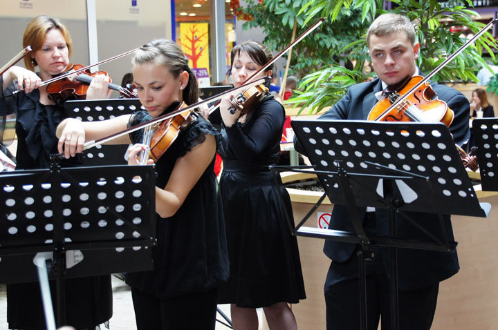 Elbląska Orkiestra Kameralna zagrała w Ogrodach zdjęcie nr 49325