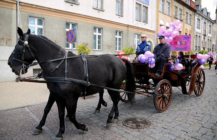 Kochajmy życie! zdjęcie nr 49679